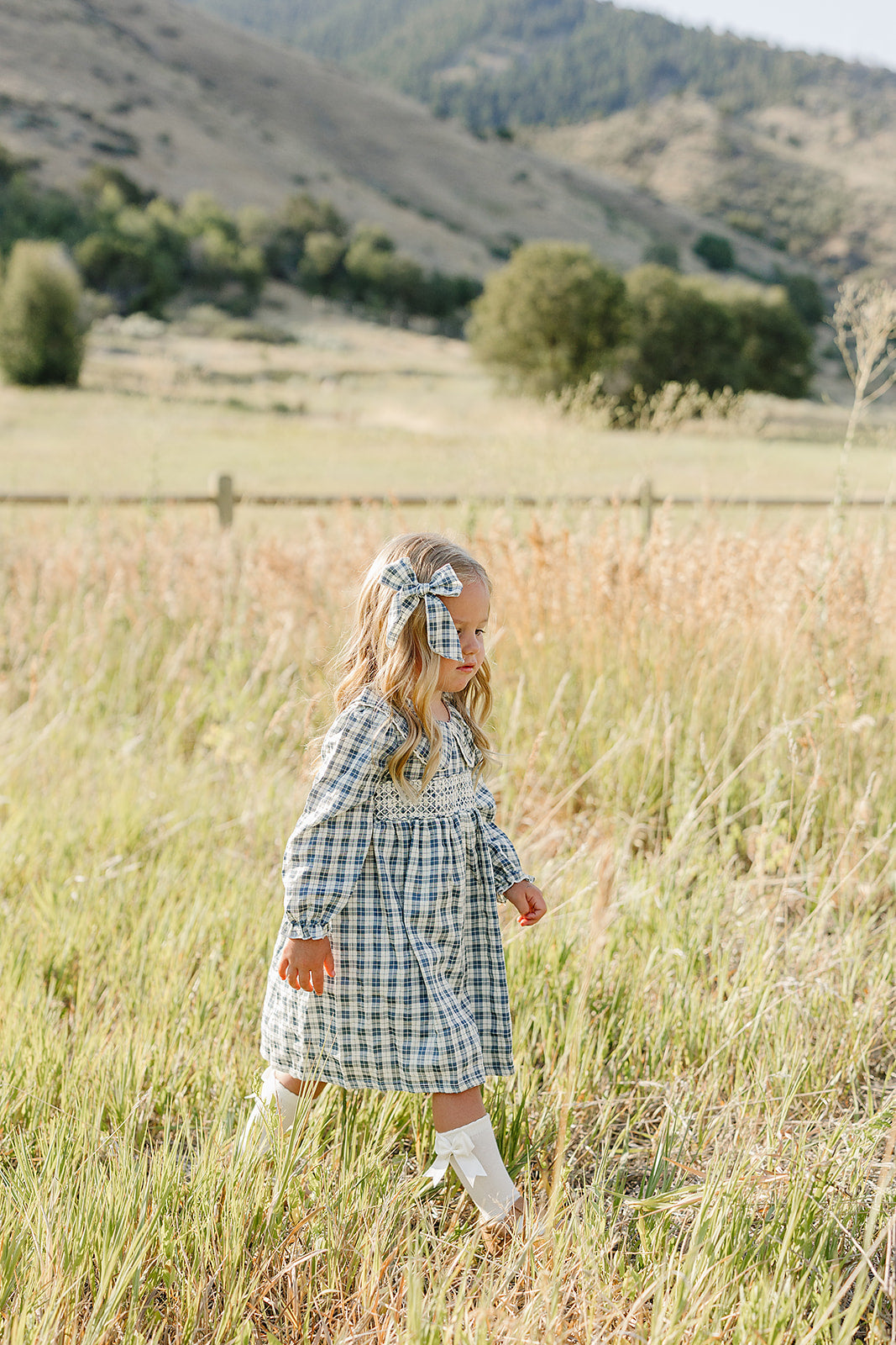 Blue Plaid Hair Bow
