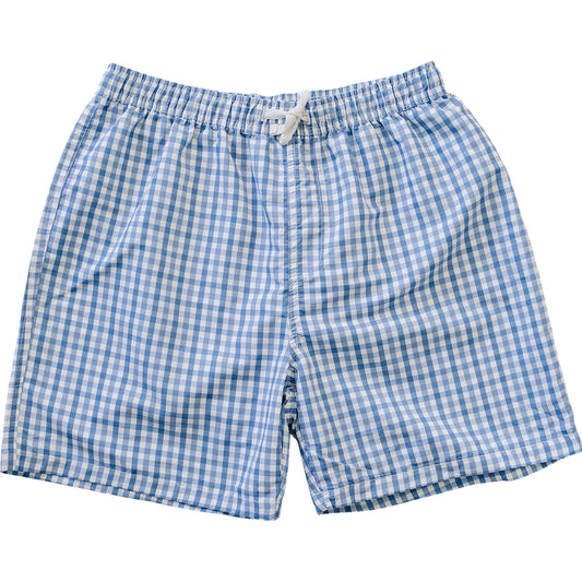 Light Blue Gingham Adult Men's Swim Shorts