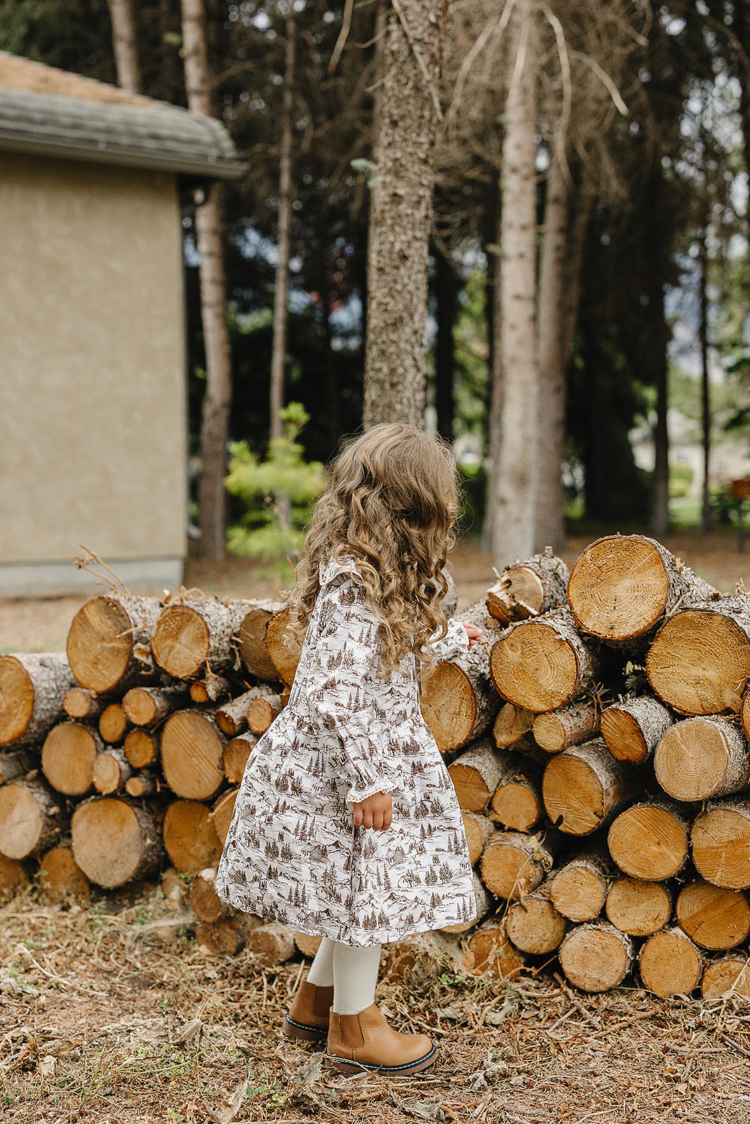 Brown Toile Dress 6-12